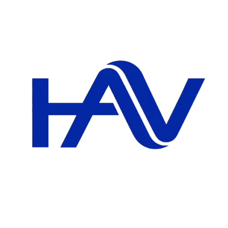 HIMANI AUDIO VISION