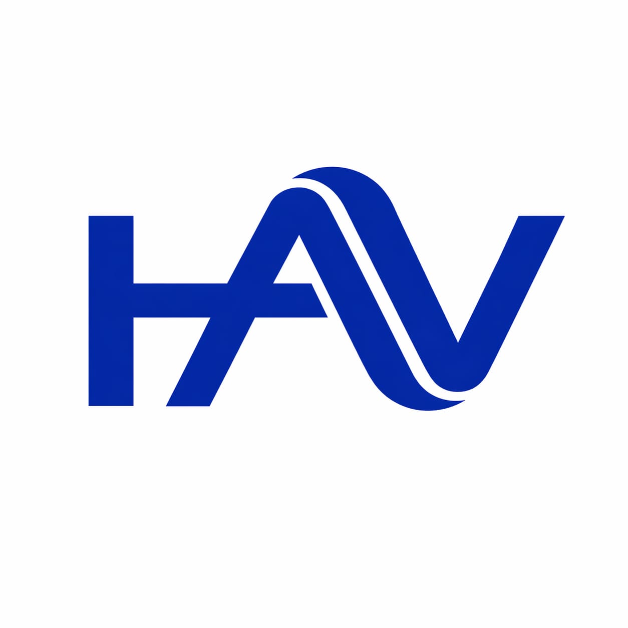 HIMANI AUDIO VISION
